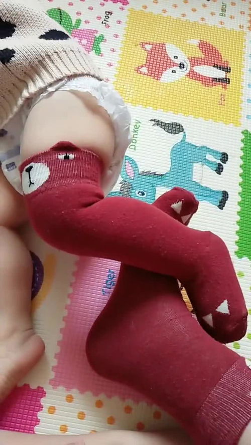 这个袜子买的值